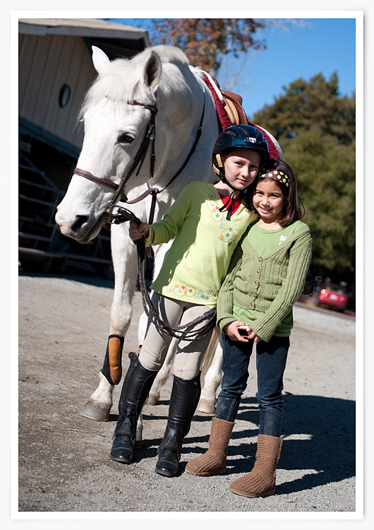 isabella-pia-horse isabella-pia-horse